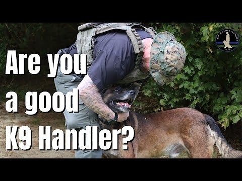 How to be a Good K9 Handler | SOURCE