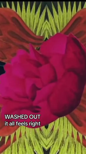washed out (2013) | washed