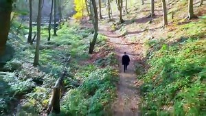 Kara Sevda / Endless Love - Episode 12 (English Subtitles)