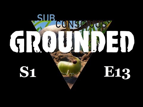 Grounded - Episode 13 (IBM)