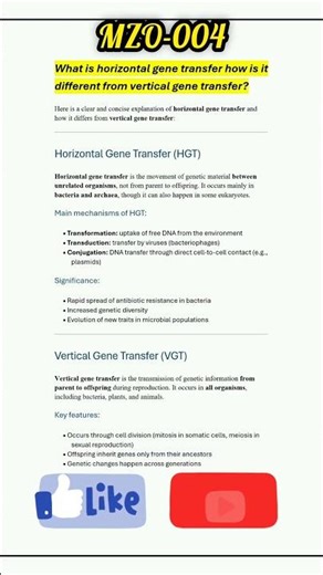 What is horizontal gene transfer how is it different from vertical gene transfer?