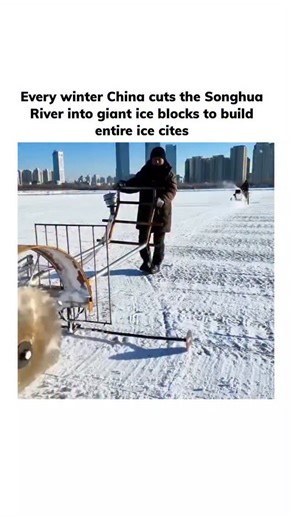 Lunatheum on Instagram: "Every winter, China transforms the frozen Songhua River into a source of wonder by cutting it into massive blocks of crystal-clear ice to build entire ice cities. As temperatures plunge far below zero, the river becomes a natural quarry, providing thousands of giant ice slabs that are lifted, carved, and stacked with precision. These blocks form glowing palaces, towers, bridges, and sculptures that look like they belong to another world. At night, colorful lights shine t