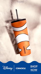Don’t Forget! 🫧NEW Disney’s Nemo & Dory-Inspired Designs! 🫧Don’t Forget! | CORKCICLE
