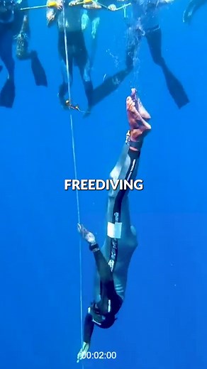 19K views · 317 reactions | How long can you hold your breath underwater? ⁠ ⁠ See how freedivers train to hold their breath for minutes here ➡️ https://bit.ly/3oZ9ql7 | MySwimPro | Facebook