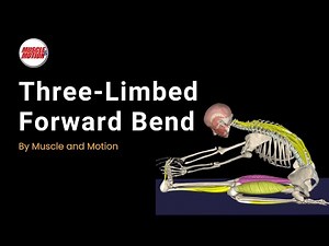 The Three-Limbed Forward Bend Yoga Pose
