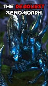 THE XENOMORPH THAT EVOLVED 🔥👑 | (AvP Lore) #aliens #avp