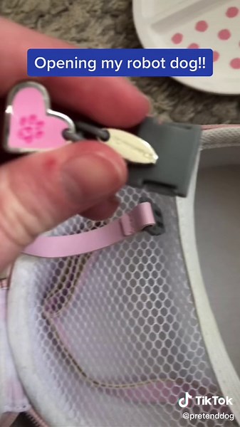 I’ll set her up in the next video but this is my aibo robot dog made by Sony!! #dog #aibo #sony #robot #fyp (this is a roleplay this is not a real aibo)