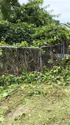 #clean #cleaning #cleaninghouse #cleaningteam #housekeepingteam #deepcleaning #satisfyingcleaning #cleaningasmr #cleanwithme #satisfying #cleaningmotivation #cleaninghacks #cleaningtips #cleaningszn #cleanfreshhype #cleanclearconfident #fyp #freecleaning #motivation #viralpost #asmrcommunity | Lawn Care Service