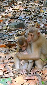 2.6K views · 99 reactions | Savana feeling wanna hugs Rainbow little baby! Savanna wanna have baby! | Good Or Bad | Facebook