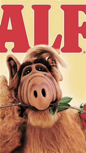ALF! was a great show! ALF always wanted to eat cats! Paul Fusco created him & did his voice! FUNNY!