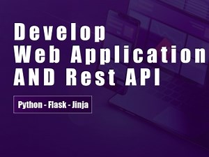 Web application or API base solution using Python, Django and Flask