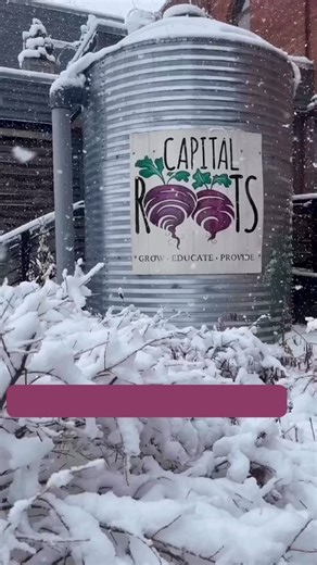 ✨ Start 2026 off right by 𝗺𝗮𝗸𝗶𝗻𝗴 𝗮𝗻 𝗶𝗺𝗽𝗮𝗰𝘁 𝘁𝗼𝗱𝗮𝘆✨ Capital Roots programs run 𝘆𝗲𝗮𝗿-𝗿𝗼𝘂𝗻𝗱 to ensure our neighbors always have access to fresh, healthy food especially during the harsh winter months. Every volunteer hour and donation supports the Veggie Mobile®, Squash Hunger, and other vital programs that uplift families and grow a healthier #community. Your action today helps nourish our community all year long. ❄️ Donate: www.capitalroots.org/donate ❄️ Volunteer: www.