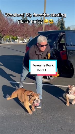 Chowder’s Happy Place. Have a great day everybody! #petsontiktok #tipsandtricks #fyp #happy #bulldogskater #chowderthebulldog