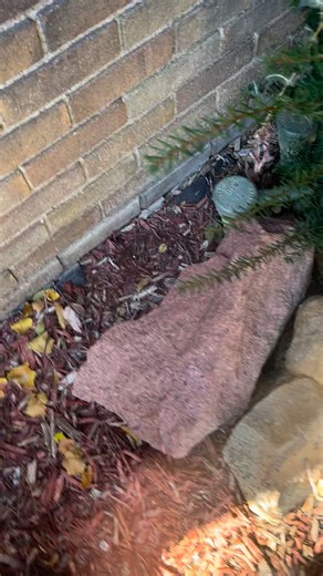 Side inlet valve in use for the first time all year… and you already know why 😂💦 Up here in the northern climates, we avoid these things like the plague — one hard freeze and side-inlet spray heads turn into a cracked sprinkler graveyard. But today? I’m cracking one open on purpose… just to hook up the blower adapter and send air through the zone. Not technical… not recommended… but definitely funny. Sometimes you gotta improvise during blowout season. Creekside has you covered 🙏💦 #Irrigatio