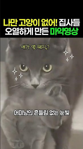 Why am I the only one without a cat! An addictive video that will have online pet owners sobbing