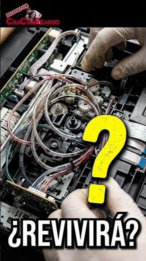 Will we be able to bring this printer back to life?