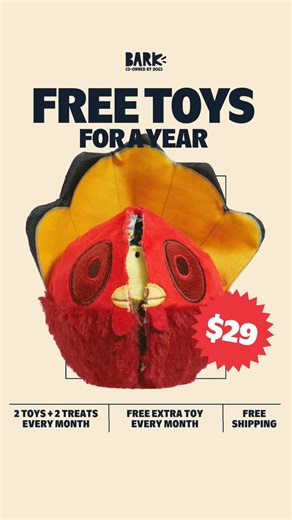 40K views · 16 reactions | Get a whole year of free toys for your dog! Claim our best upgrade yet when you join the pack, and start wagging for original toys and healthy treats tailored to your pup. Plus exciting new themes every month! | BarkBox | Facebook