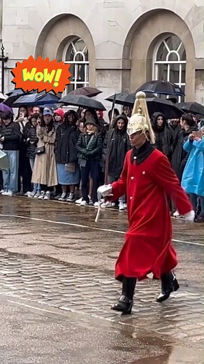 Guard hits public!!!😳 #thekingsguards #thekingsguard #kingsguard #london #rain #uk #foryoupage #foryou #fyp #fail #guardfail #viral #viralvideo | Doctor Help Funny TV