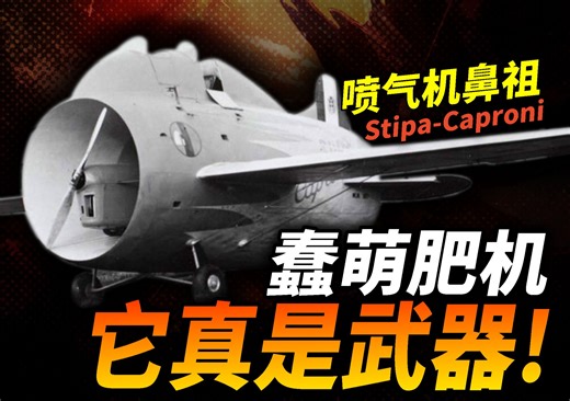 外形很草率的“玩具”飞机，险些改变航空界！来自意大利人脑洞的Stipa-Caproni“飞行酒桶”！