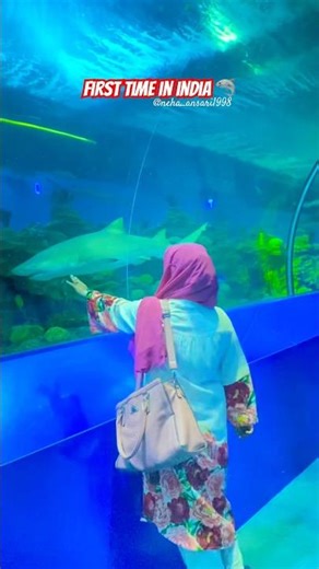 Summer vacation chlo ghumne😝| #travel #shorts #shark #underwaterlife #trendingshorts #viral #fypシ゚