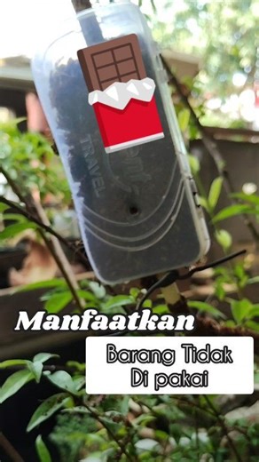 Don't throw it away, repurpose it! 🌱 Giving old plastic containers a new life as a DIY air layering tool. Small steps for a greener world. ​#Bonsaitree #DIYGardening #PlantPropagation #AirLayering #bonsai | Deeva Ras Bonsai