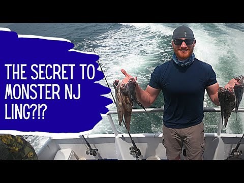 New Jersey Fishing for Sea Bass and Ling on the Norma K III with Bonus Kayak Fluke Fishing!