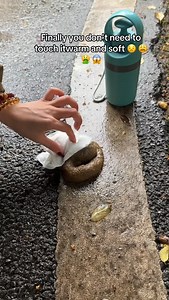 LINK IN BIO - Buy this Paw Poop Scooper for 50% OFF! 🎄 CHRISTMAS Sale Ends Soon 🔔 👉 Press link in @cxtcomfy Bio to Shop! 🎉 SAVE 50% Off Limited Time Only at: @cxtcomfy | Cxtcomfy