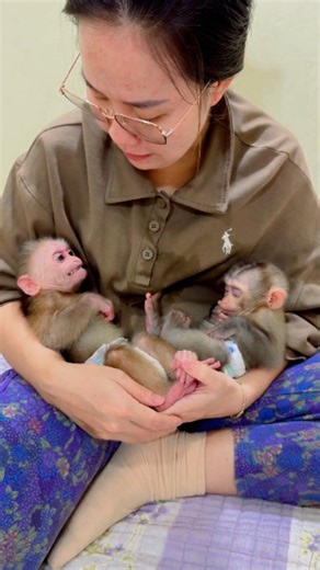 Baby Monkey Rescue Foundation I want to take a moment to thank every single person who has supported our rescued baby monkeys. Your kindness, your donations, and your love have given so many helpless babies a second chance at life. Because of you, they now have warm milk, safe shelter, and gentle hands to care for them. Every rescued monkey you see smiling or playing today exists because someone like you decided to help instead of turning away. You are part of their story, their healing, and the