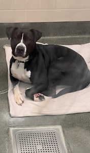 2.3K views · 79 reactions | Join us as we take a Virtual Field Trip...