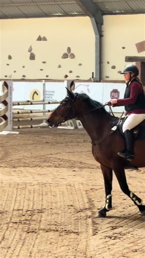 Show Jumping Course: 110cm Challenge