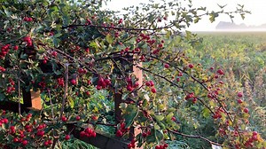 6.8K views · 663 reactions | A short video giving you a bit of background about who I am and what I do :) | Bonny Snowdon Academy | Facebook