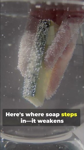 The Science behind Bubbles: Why are they Round?