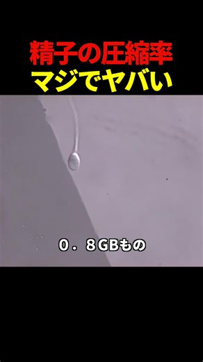 男性が1秒で送るデータ量の真実