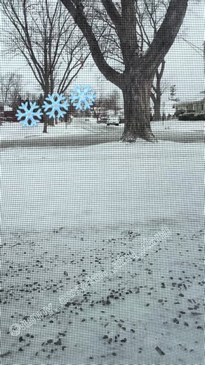 #fyp #assyriantiktok #funny #assyrian #CapCut