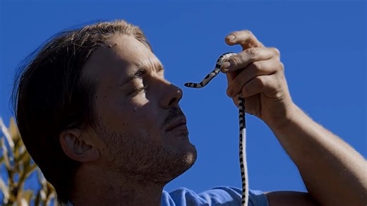 Africa’s Most Beautiful Snake and a Magical Moment with a Giant Scorpion