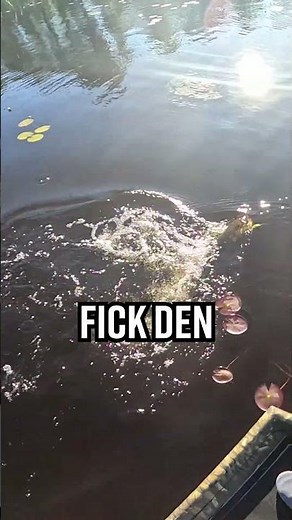 Ythugg från INGENSTANS – bara 1 meter från båten! 😱🎣 #teamgalant #gäddfiske #ythugg