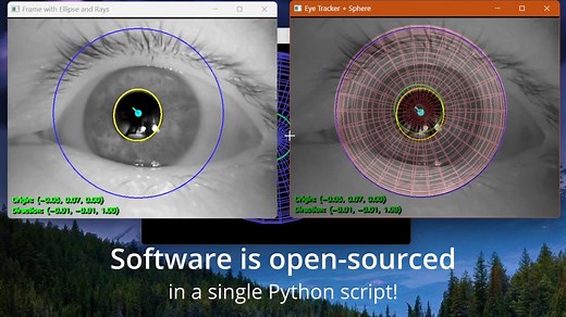 盘点那些优秀的开源模型系列2之Python 中的 3D 眼动追踪