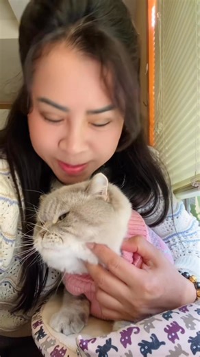 45 reactions · 62 comments | My Boys, Tofu & Snow #catlovers #cat #catloverclub #reelsfbシ #reelschallenge | Jude Sujitra Kelsch | Facebook