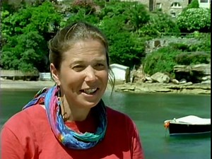 Kingdom of the Seahorse : Amanda C J Vincent, Andrew Thompson (Production personnel), Susan K Lewis (Production personnel), Tony Kahn, Jon Bignold, Stephanie Munroe, Ray Loring, British Broadcasting Corporation., WGBH (Television station : Boston, Mass.) : Free Download, Borrow, and Streaming : Internet Archive