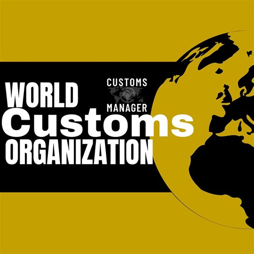 Kopie von WCO HS 2028: The Grand Trade Code Map!!