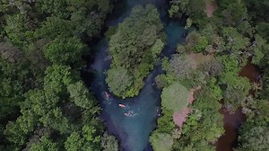 146K views · 897 reactions | It's been called Florida's Most Beautiful Canoe Trail. Welcome to Econfina Creek, located in Washington County, Florida. #LoveFL | VISIT FLORIDA | Facebook