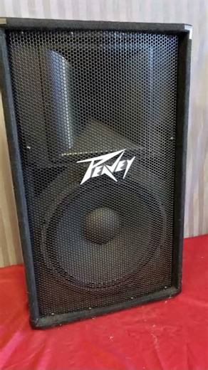 Peavey PV115 #bass #dj #speaker #soundsystem #sonido #music #sound #subwoofer