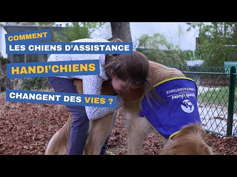 Comment les chiens d’assistance HANDI'CHIENS transforment des vies