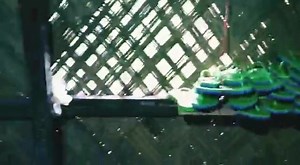 102K views · 228 shares | PMEGP Success story of Mr Jupiter Jones Sangma ~ He received the loan under PMEGP for starting a small footwear making unit. Good to see that he was able to realise his dream and now is working to improve the same. This short clip was made by DCIC, Williamnagar. #YouthForPositiveAction #PMEGP | Deputy Commissioner - East Garo Hills | Facebook