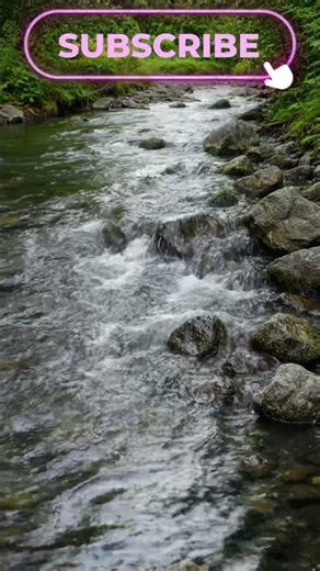 Medium River Flowing Ambience - Sound Effect #shortvideo