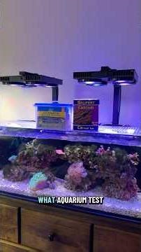 What aquarium test kits do you use?