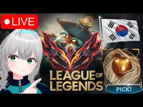 🔴BARD GIRL - KOREA 1004 LP START / 바드 오늘의목표 11층 ( •̀ ω •́ )✧ !discord