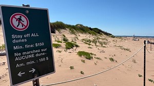 Stay off the dunes, Parks Canada reminds visitors to P.E.I. beaches