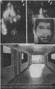 Spring Of Life - Interface