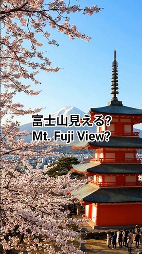 新倉山浅間公園ライブカメラ｜富士山・忠霊塔・桜の見え方を出発前に確認